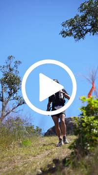 BIB:  <button type="button" onclick="openModal(26596594)" class="btn btn-primary btn-sm float-right" data-toggle="modal" data-target=".modal-high-quality">
                <i class="fa fa-download"></i> Download
                </button>